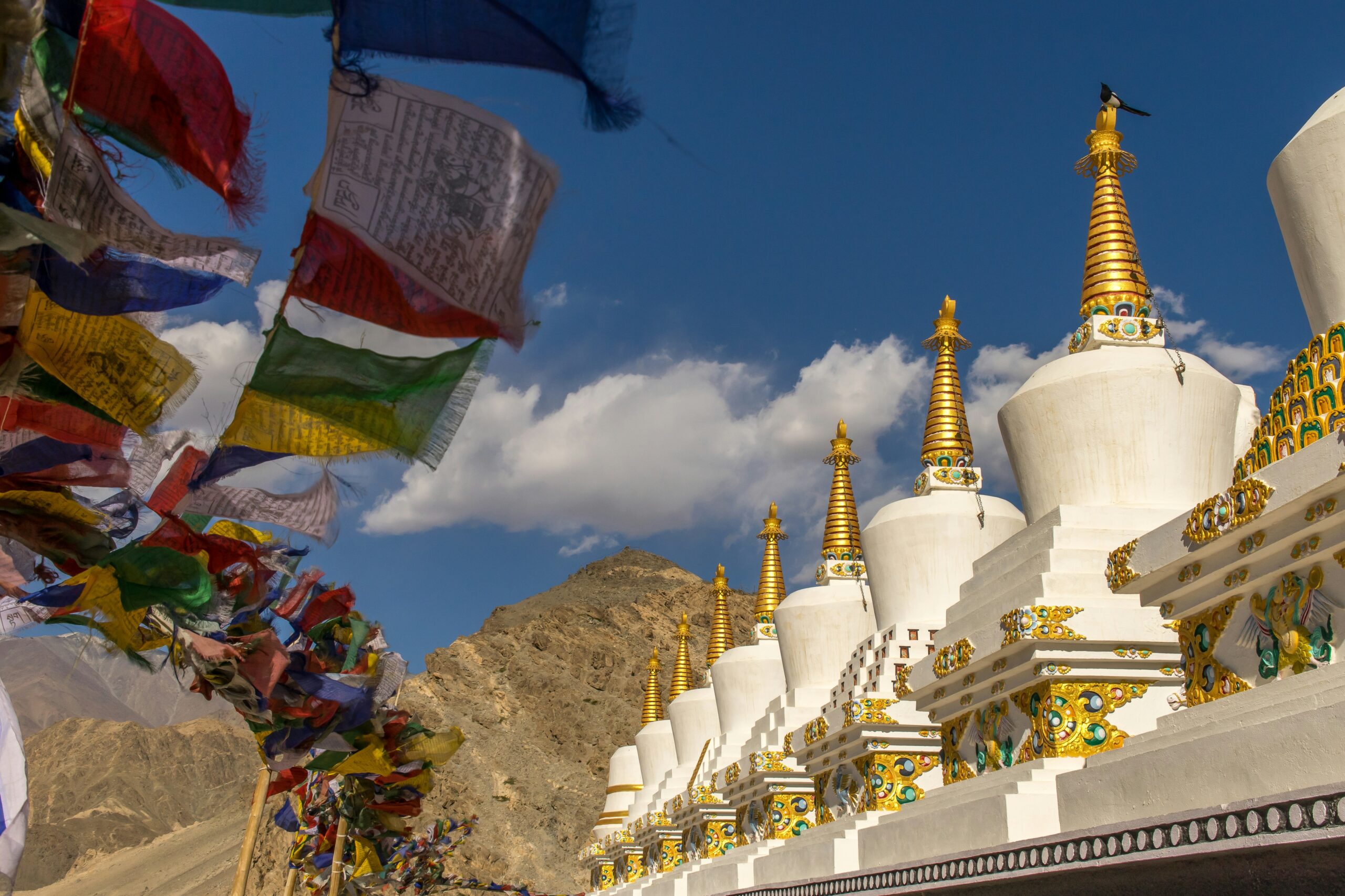 Ladakh with UBM Travels